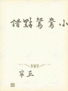 错点鸳鸯小说