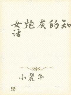 女炮灰的知青生活