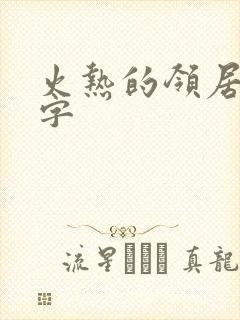 火热的领居中文字