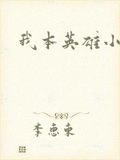 我本英雄小说封面