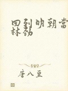 回到明朝当王爷林劲