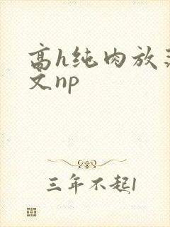 高h纯肉放荡h文np