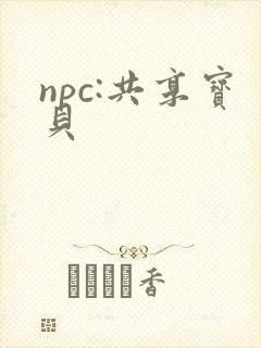 npc:共享宝贝