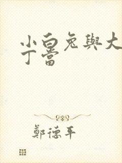 小白兔与大灰狼丁当