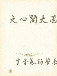 文心阁大团结