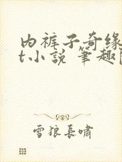 内裤子奇缘txt小说 笔趣阁