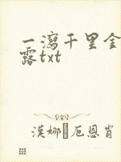 一泻千里金银花露txt