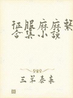 征服麻麻系列大合集小说封面