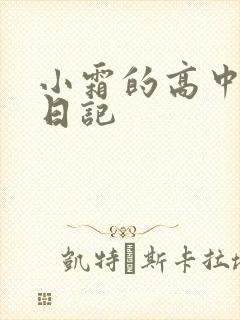 小霜的高中成长日记