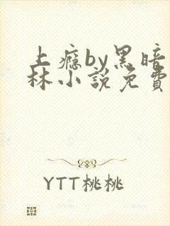 上瘾by黑暗森林小说免费