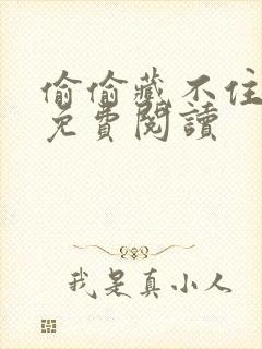 偷偷藏不住小说免费阅读