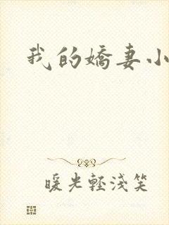 我的娇妻小说