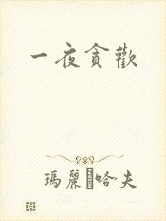一夜贪欢