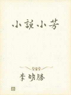 小说小芳
