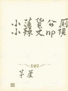 小荡货公厕h文小辣文np视频