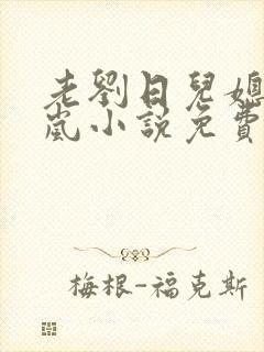 老刘日儿媳妇张岚小说免费阅读