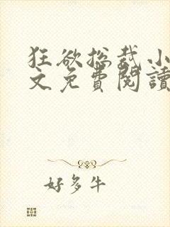 狂欲总裁小说全文免费阅读