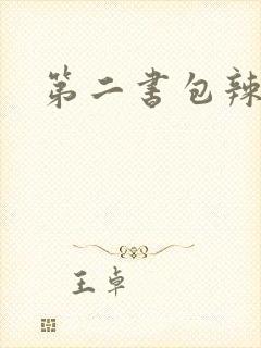 第二书包辣文