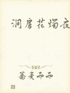 洞房花烛夜小说
