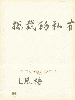 总裁的私有宝贝