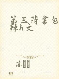 第三荷书包网高辣h文
