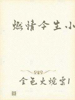 燃情今生小说
