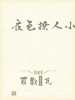 夜色撩人小说封面