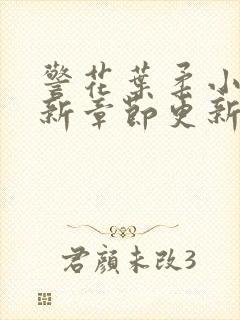 警花叶柔小说最新章节更新