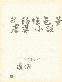 我的绝色董事长老婆 小说