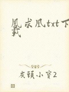 凤求凰txt下载