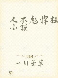 人不彪悍枉少年小说