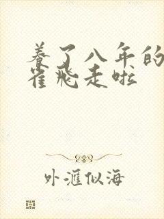 养了八年的金丝雀飞走啦