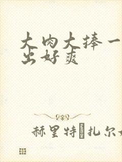 大肉大捧一进一出好爽封面