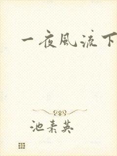 一夜风流下载封面