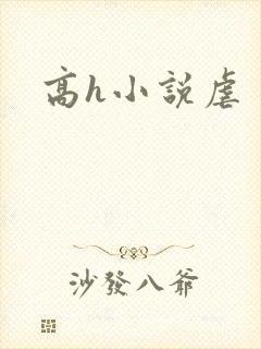 高h小说虐