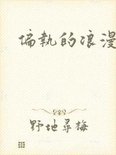 《偏执的浪漫》小说封面