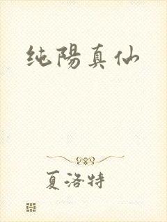 纯阳真仙