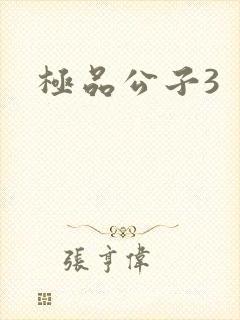 极品公子3