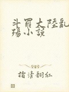 斗罗大陆乱世浮殇小说