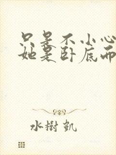 只是不小心发现她是卧底而已