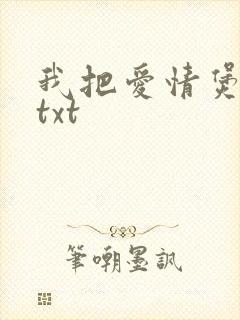 我把爱情煲成汤txt