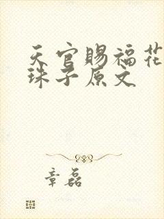 天官赐福花怜塞珠子原文