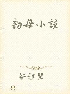 韵母小说封面