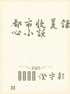 都市收美录宁素心小说