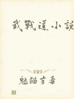 武战道小说