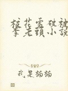 校花处破被灌满李老头小说