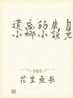 遗忘的岁月老林小娜小说免费阅读