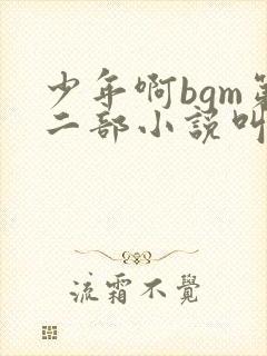 少年啊bgm第二部小说叫什么