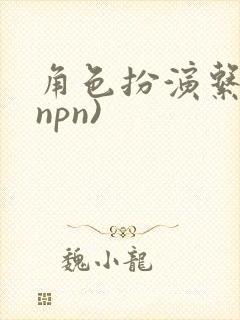 角色扮演系统(npn)