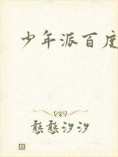 少年派百度百科